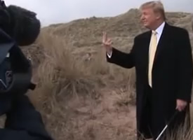 You've Been Trumped